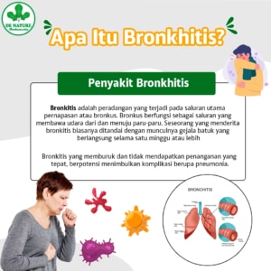 PAKET OBAT TBC / BRONKHITIS / BRONKITIS 1 Apa itu bronkhitis
