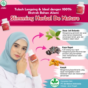 PAKET OBAT PELANGSING 2 Kandungan Slimming Herbal