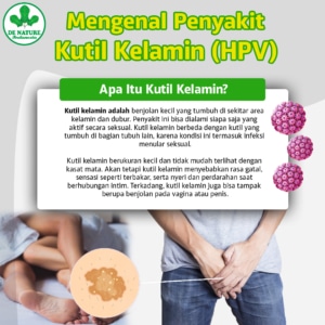 Mengenal kutil kelamin (hpv)