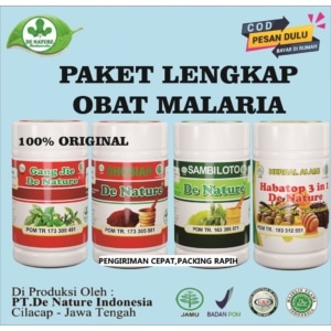 PAKET OBAT MALARIA, CIKUNGUNYA