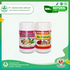 paket obat diabetes denature