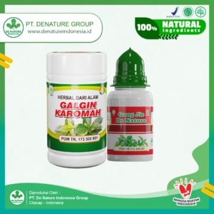paket obat batu ginjal denature