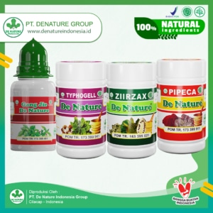 paket obat hernia denature