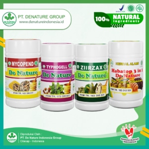 paket obat kista miom denature