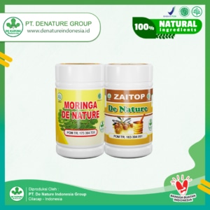 paket obat maag denature