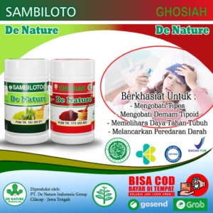 PAKET OBAT TIPES / TYPHUS 1 obat tipes tifoid denature