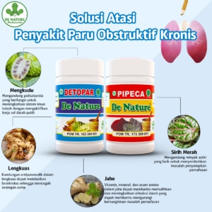 paket detox paru paru