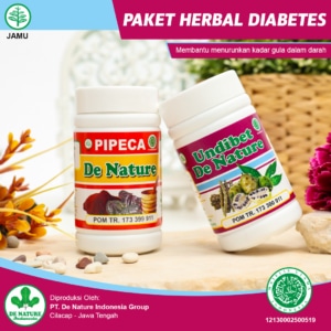 paket obat kencing manis
