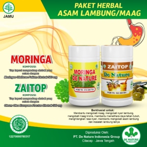paket obat lambung gerd