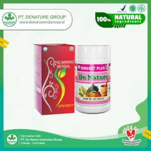 paket obat pelangsing denature