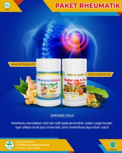 PAKET OBAT NYERI SENDI KRONIS MENAHUN 1 paket obat rematik denature