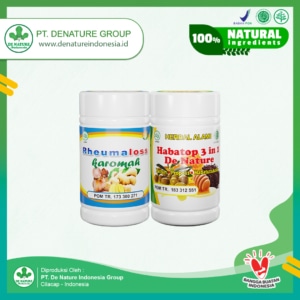 paket obat rematik denature