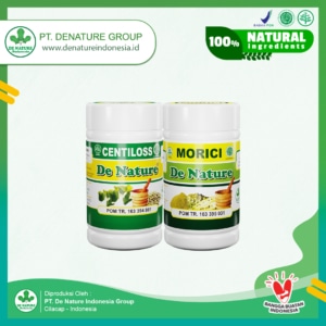 paket obat stroke denature