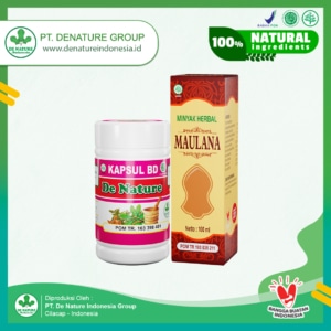 paket obat varises denature
