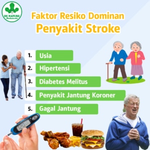 PAKET OBAT STROKE 1 PAKET PREMIUM OBAT STROKE (EXCLUSIVE)