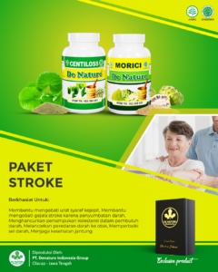 PAKET PREMIUM OBAT STROKE (EXCLUSIVE) 1 PAKET PREMIUM OBAT STROKE (EXCLUSIVE)