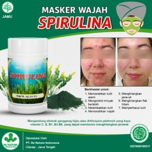 PAKET OBAT JERAWAT / MASKER WAJAH