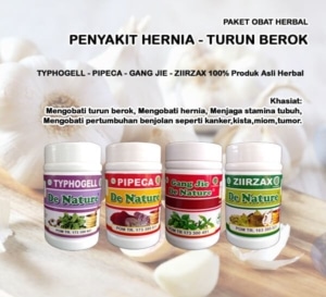 paket obat hernia denature