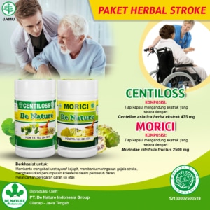 paket obat stroke
