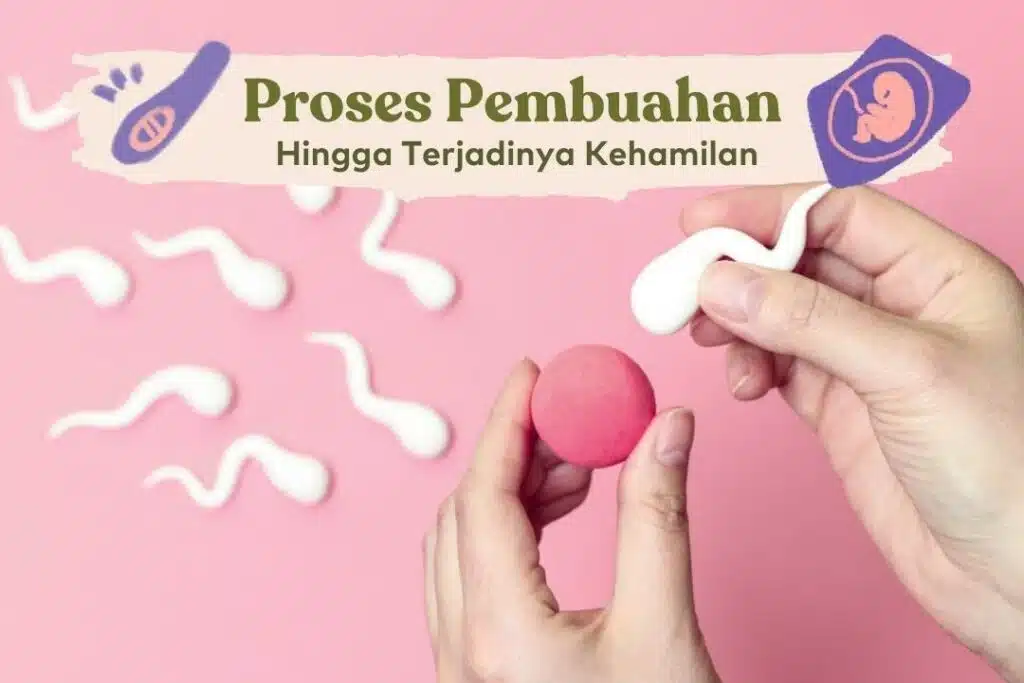 Cara Cepat Hamil dengan Mengoptimalkan Kesehatan Reproduksi 2 Cara Cepat Hamil dengan Menggunakan Teknik Pembuahan