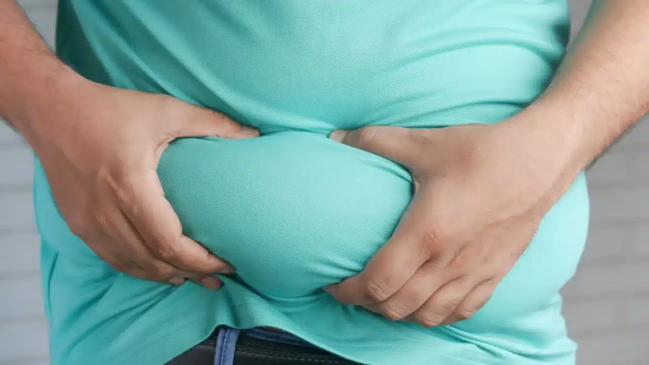 Belly Fat Human Body Abdomen