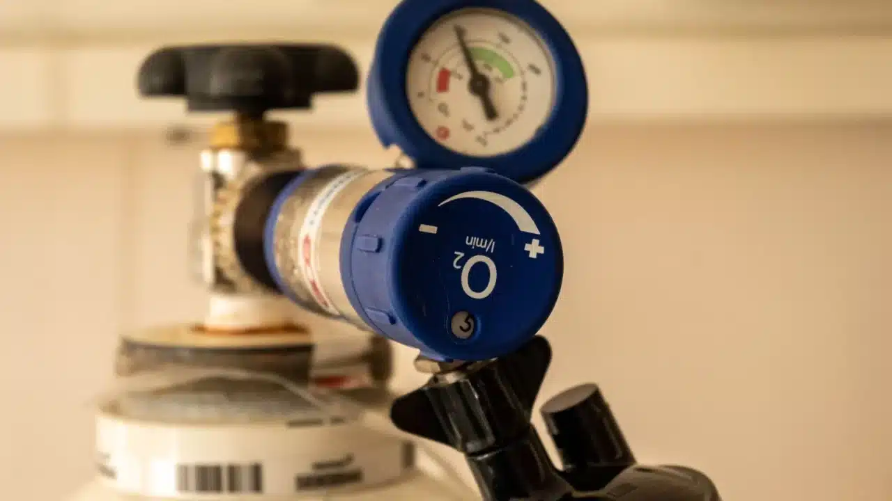 Blood Flow Vein Valve