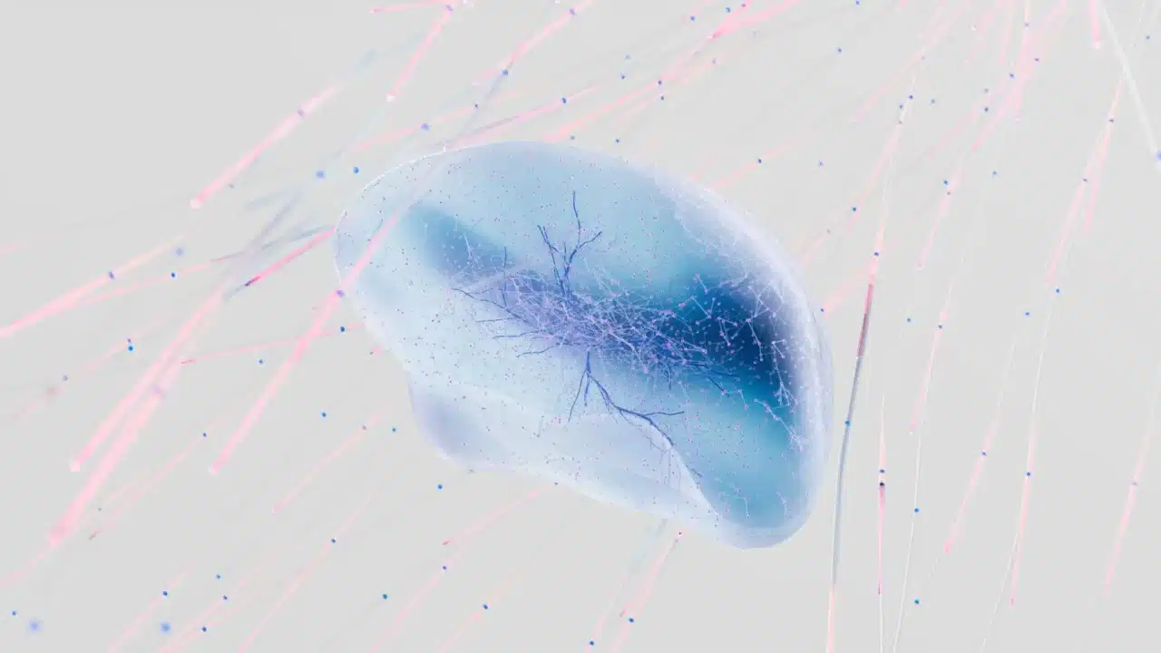 Brain Cells Neuron