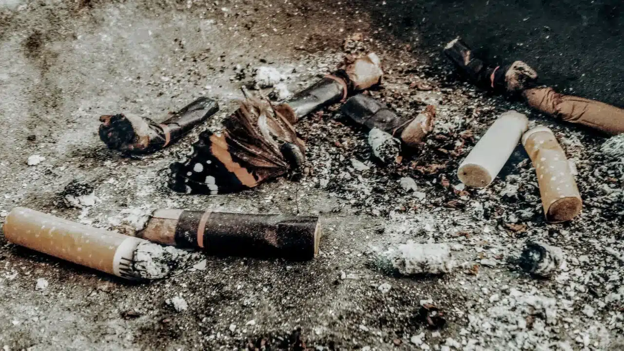 Cigarette Pollution