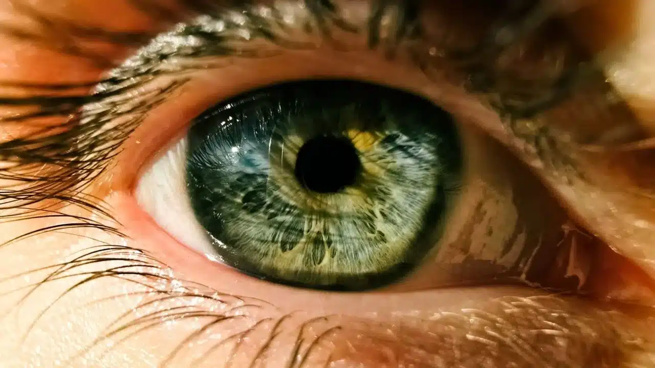Ciri-Ciri Mata Silinder: Kenali Gejala dan Cara Mengatasinya 1 Eye Anatomy Eyeball Vision