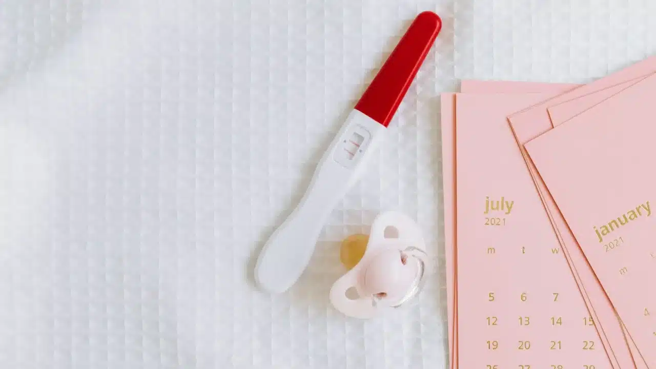 Fertility Cycle Calendar