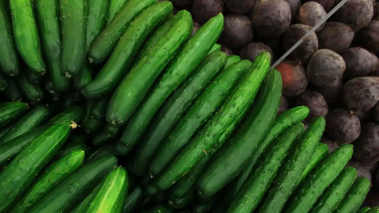 Fresh Produce Healthy Food Groups
