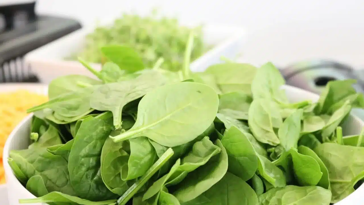 Fresh Spinach Spinach Leaves Green Vegetables