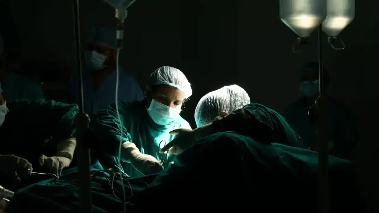 Hernia Human Anatomy