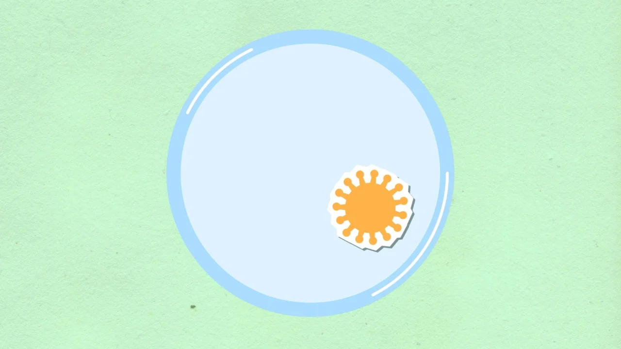 Infection Inflammation Pus