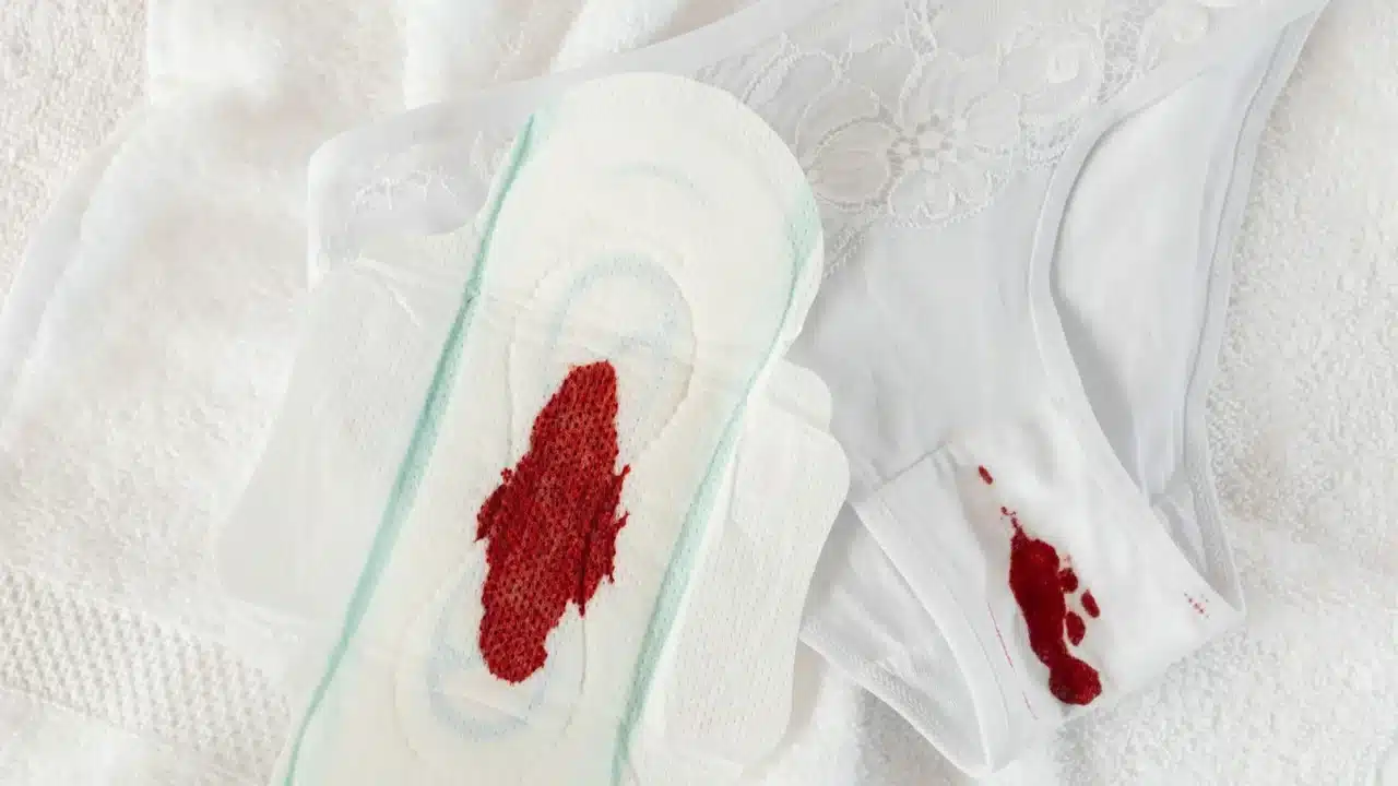 Menstrual Cycle Calendar