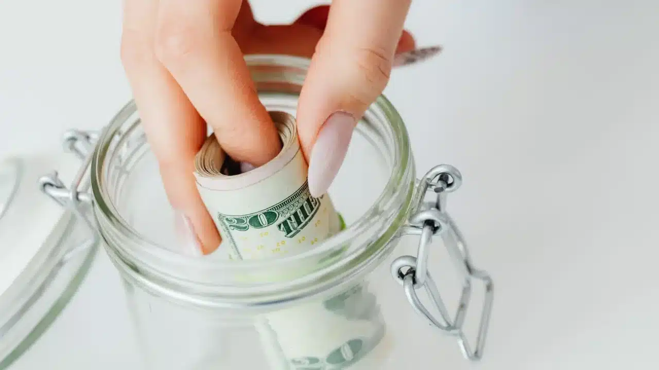 Money Savings Green Plant