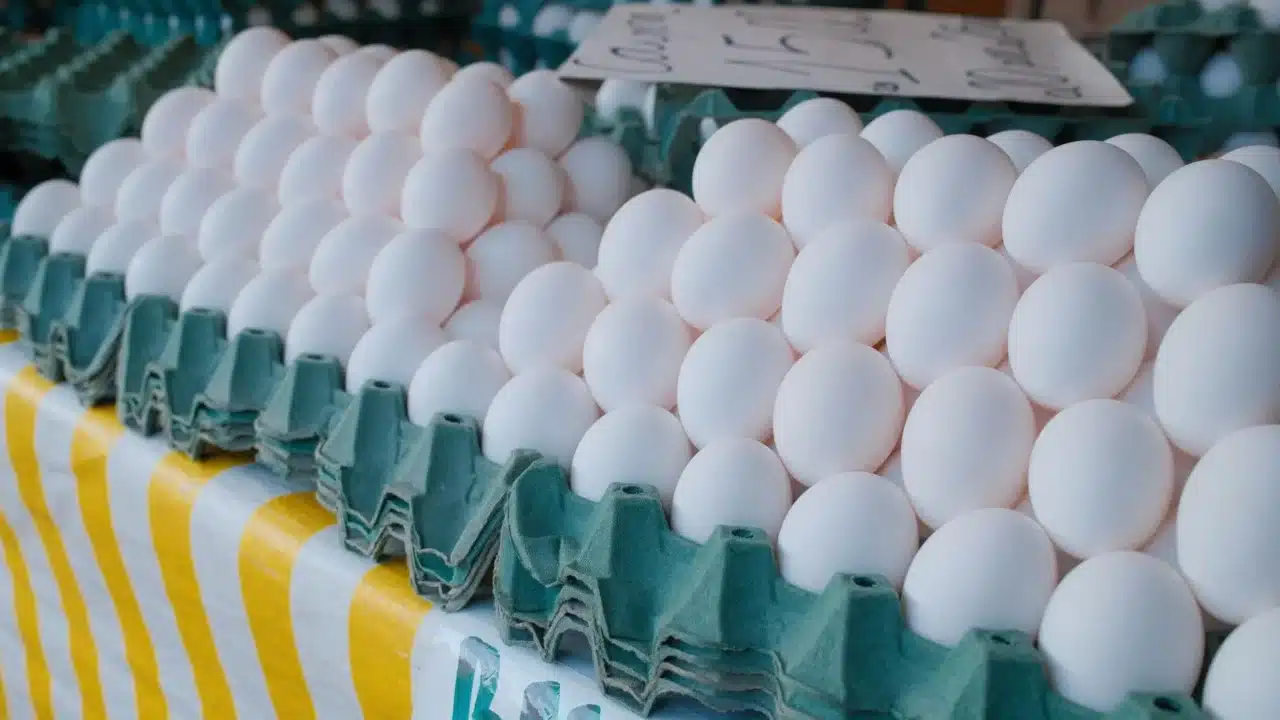 Protein Sources Meat Eggs