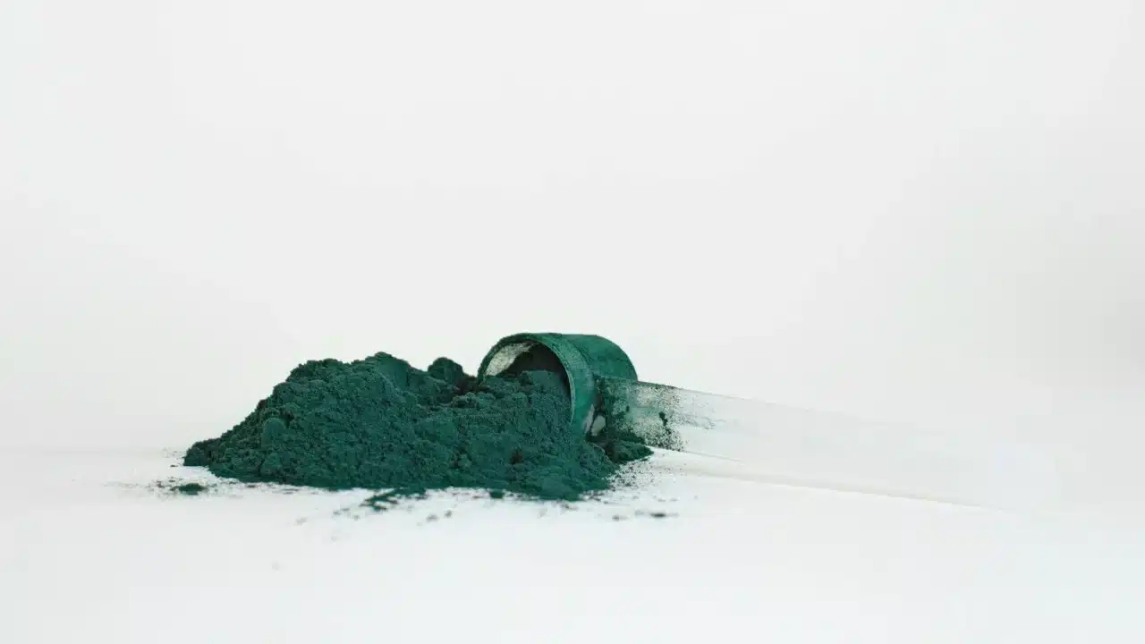 Spirulina Powder Algae