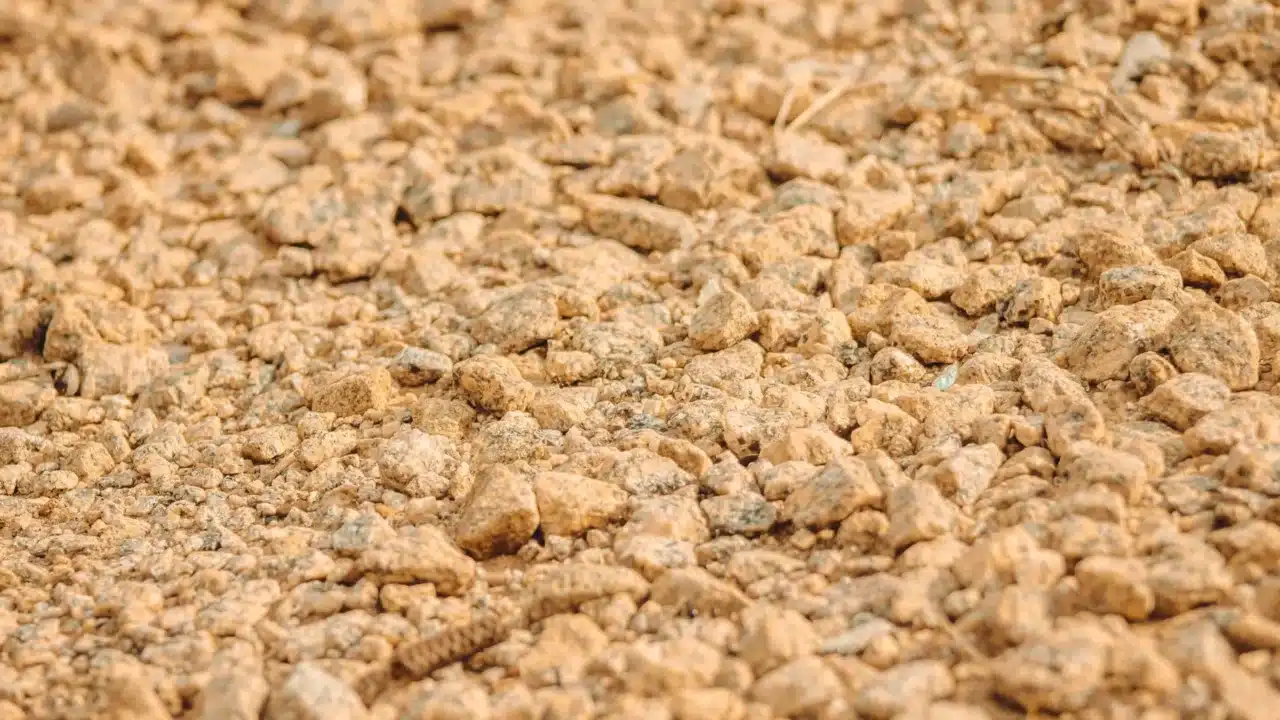 Tophi Kidney Stone