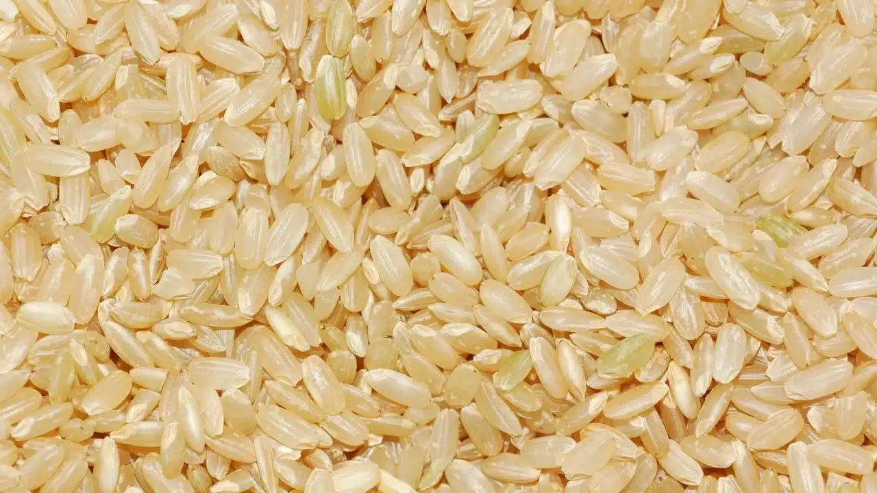 Whole Grains Healthy Fats
