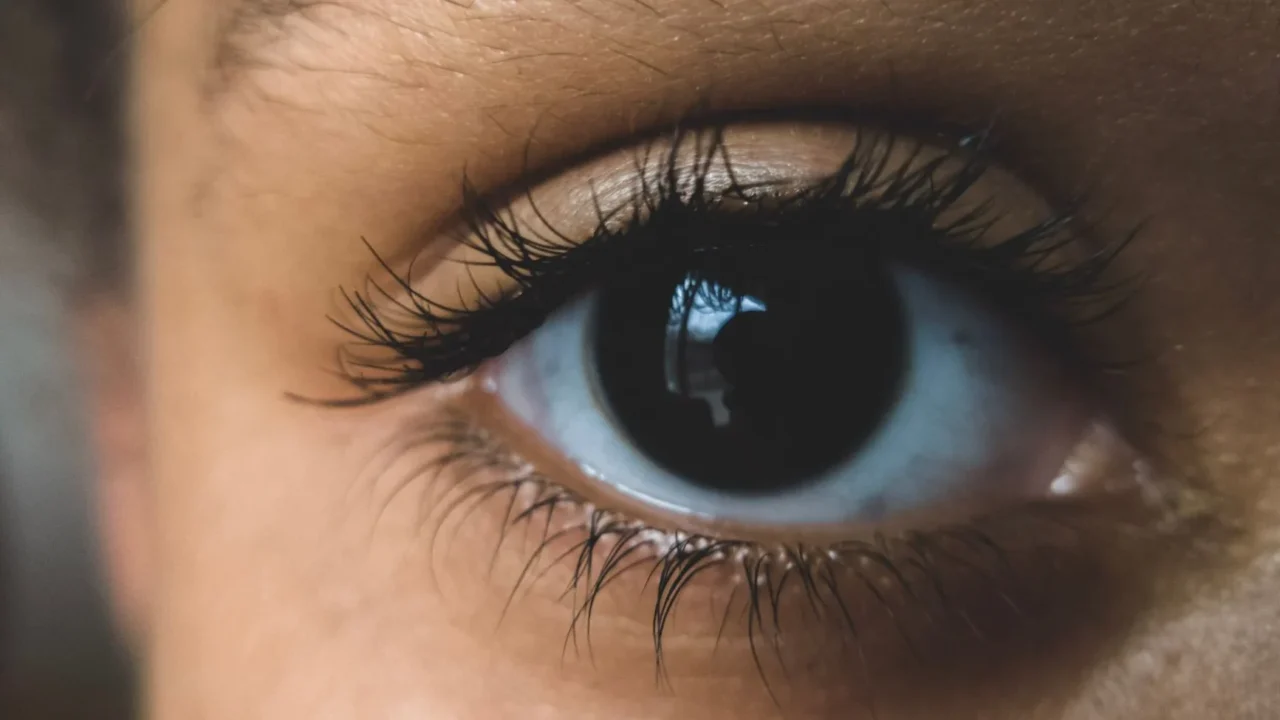 Cara Mengatasi Katarak: Panduan Lengkap untuk Penglihatan Jelas 1 Eye Anatomy Cloudy Eye Lens