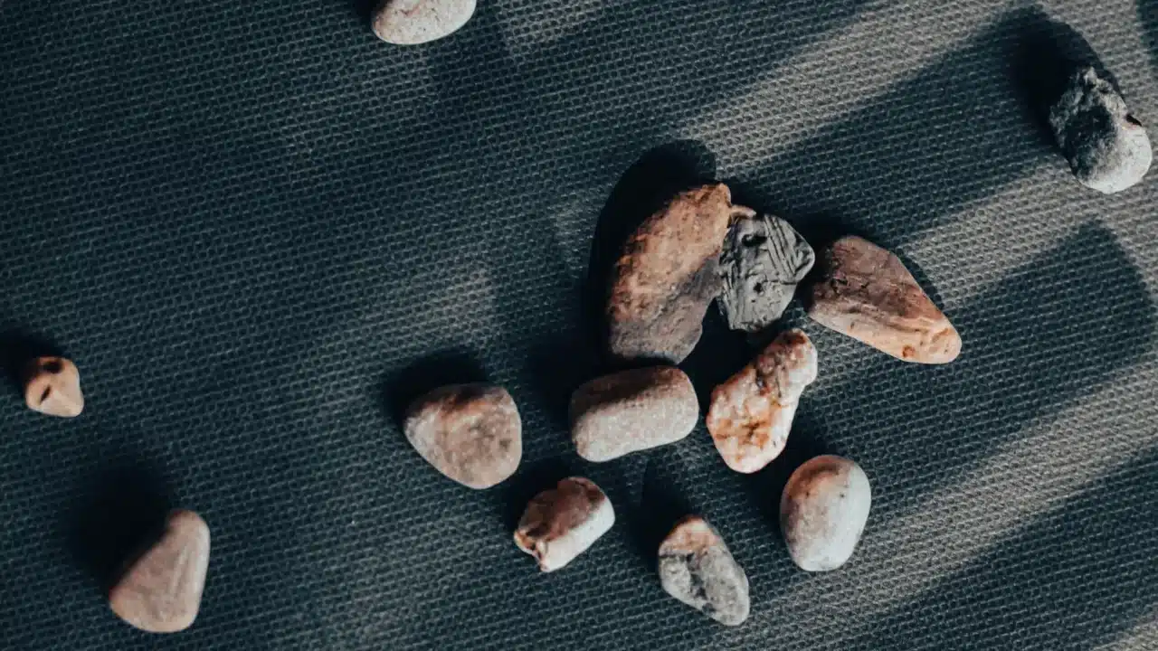 Apakah Batu Empedu Berbahaya? Risiko, Gejala, dan Penanganan 1 Gallbladder Stone Human Organ