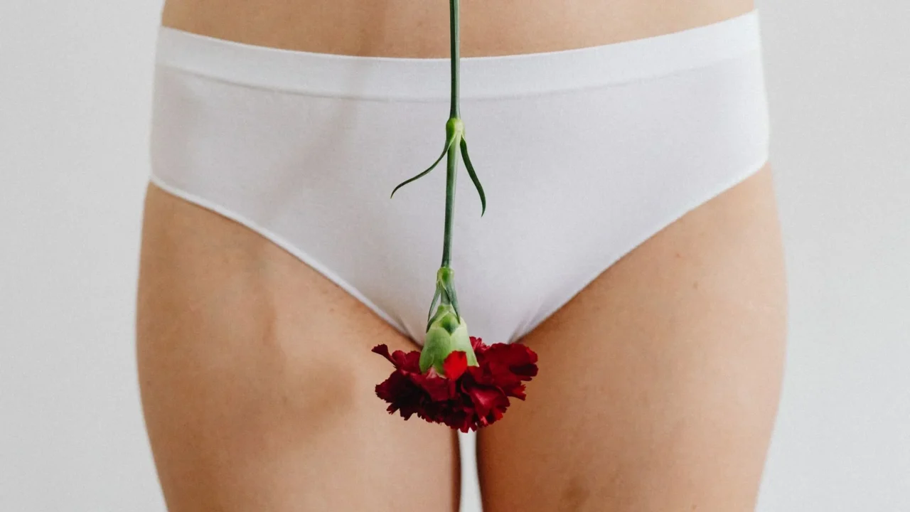 Herpes Genital Adalah: Penyebab, Gejala, dan Pengobatan 1 Genital Herpes Virus