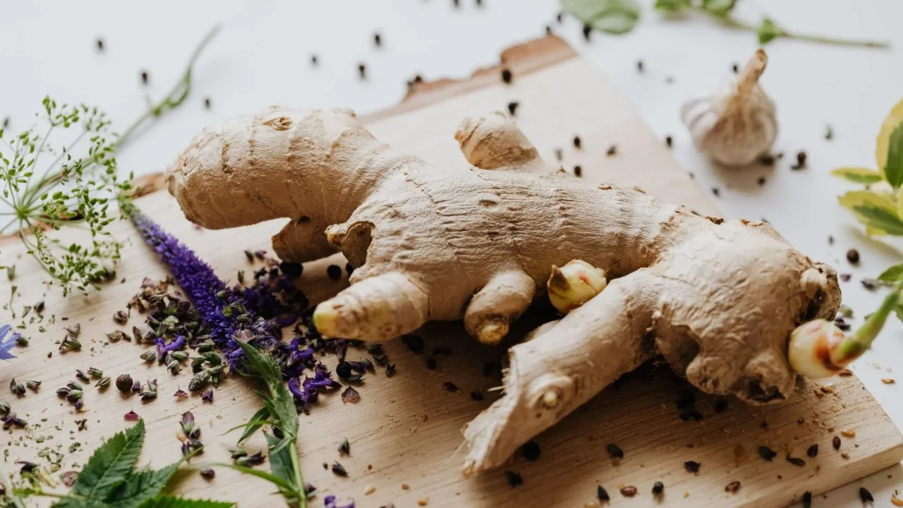Obat Herbal Bronkitis: Solusi Alami untuk Pernapasan Sehat 3 Ginger Fresh Ginger