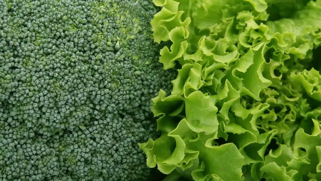 Green Vegetables Leafy Greens