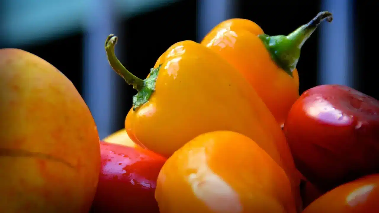 Pencegahan Kista Ovarium: Panduan Lengkap untuk Wanita 3 Healthy Diet Vitamins Vegetables
