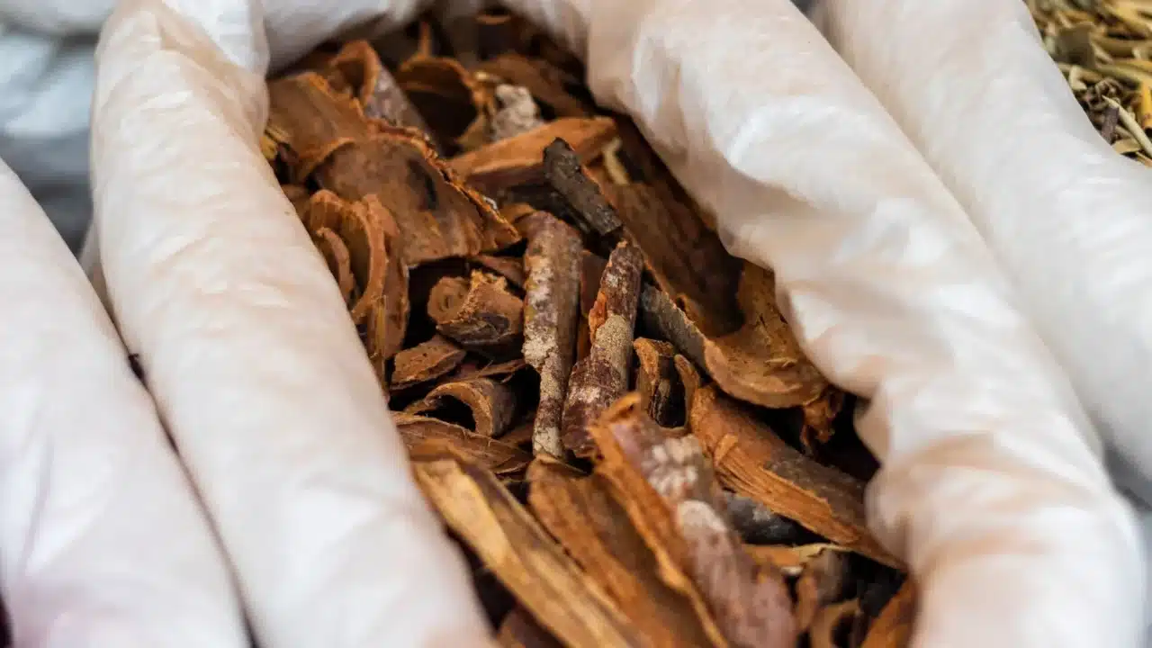 Pengobatan Alternatif Kanker Serviks: Pilihan & Keamanan 2 Herbal Medicine Traditional Remedies