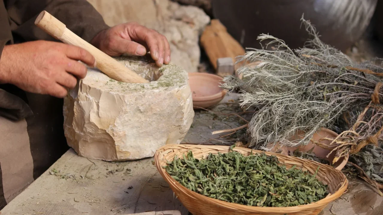 Herbal Plant Natural Remedy Medicine Alternative