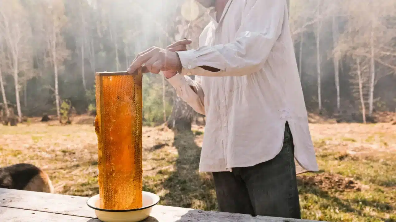 Honey Authenticity Testing Honey