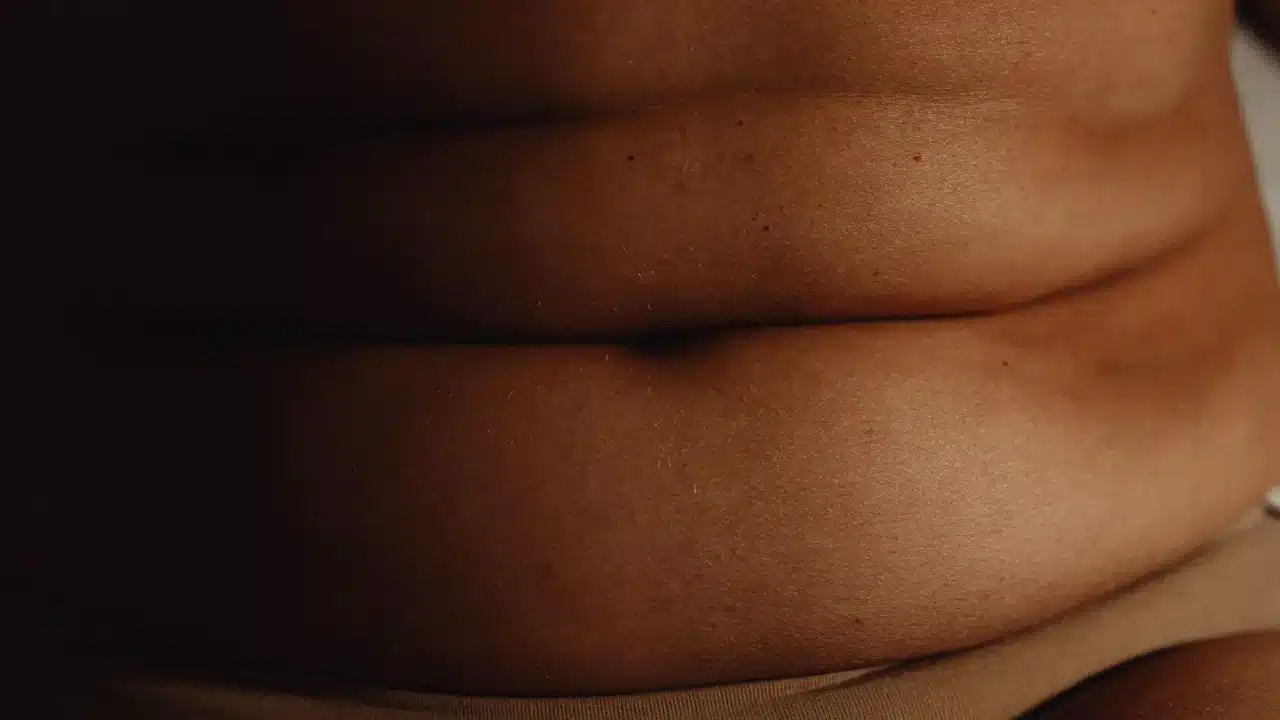 Human Anatomy Abdomen